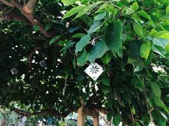 -时光花园(白鹭洲店)