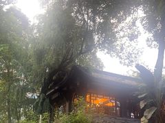 -大妙火锅·非物质文化遗产(东湖公园店)