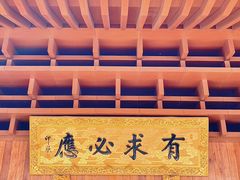-深圳仙湖植物园