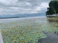 -西昌邛海湿地