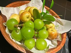 -季季山·云南野生菌火锅(上海首店)
