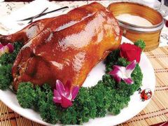 -同喜烤鸭店(光芒店)