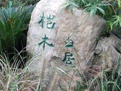 -桤木河湿地公园