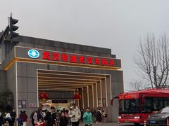 -武汉关码头(轮渡站)