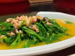 上汤豌豆尖-滋色臻选川菜(北京坊旗舰店)