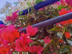 -CHILLAX轻乐时(侨建·Hi City店)