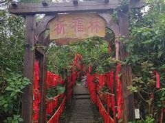 -海南铜鼓岭景区