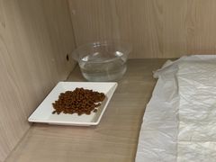 -中国农业大学动物医院