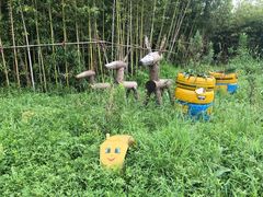 -上海多利农业发展有限公司