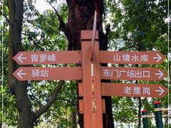 -滴水岩森林公园