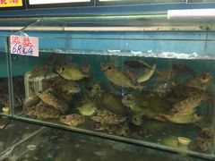-明记海鲜美食老字号(明记总店)