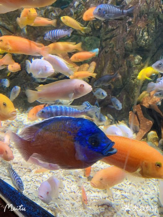 太平洋海底世界图片