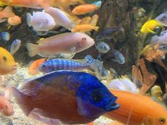 -太平洋海底世界