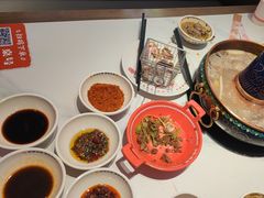 -董记老清泉·鲜切涮羊肉(窑岭店)
