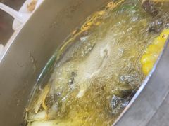 -探窝·竹笙椰子鸡(杨箕店)