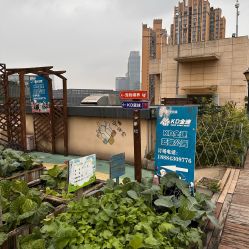 -梦田都市农场(银泰城店)