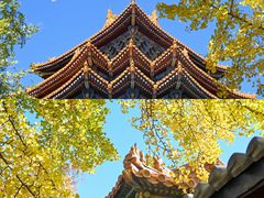 -故宫博物院(故宫)