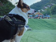 -北京山里寒舍度假酒店
