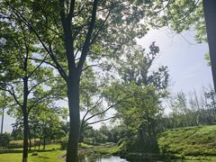 -两河城市森林公园