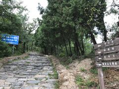 -阳台山自然风景区