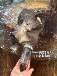 -Zoolung Zoolung动物主题公园(海信广场店)