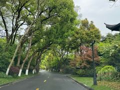 -浙江西子宾馆·瑶园咖啡厅