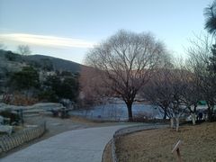 -北京西山国家森林公园