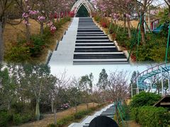 -盈香心动乐园