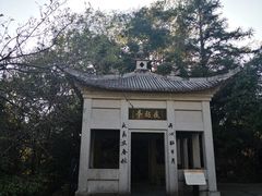 -遂昌金矿国家矿山公园