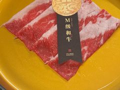 -牛New寿喜烧(金鹰世界店)