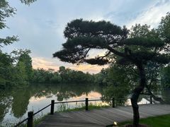 -新荣记(西溪湿地店)