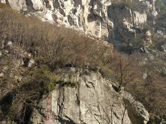 -陕西省红河谷森林公园
