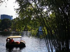 -晓港公园