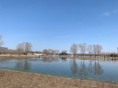 -大兴滨河森林公园