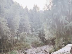 -公盂村