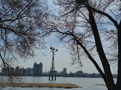 -滨州铁路桥