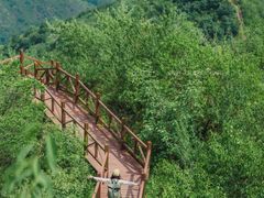 -大岭沟猕猴桃谷风景区