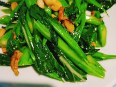-大榕树下顺德菜(融创茂店)