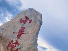 -小普陀