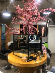 -时尚殿堂明星门店