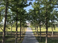 -汉长安城未央宫国家考古遗址公园