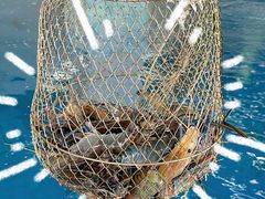 -SHRIMP CLUB万东餐饮钓虾·清吧