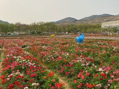 -盈香心动乐园