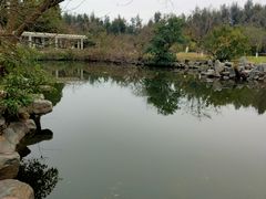 -漩门湾国家湿地公园