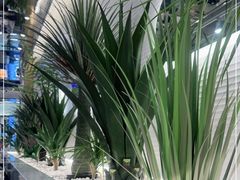 -兰湘子·湘菜小炒(崂山丽达店)