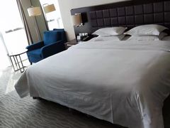 -上海浦东绿地铂骊酒店
