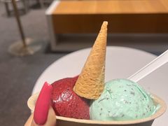 -极拉图·现制冰淇淋(大卫城店)