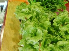 -赵记煎饼卷大葱(东岳店)