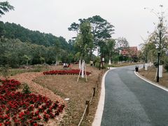 -东莞植物园