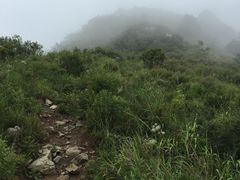 -阳台山自然风景区